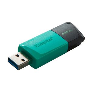 USB 3.2 MEMORIA KINGSTON 256GB DT EXODIA M TAPA DESLIZABLE NEGRA Memorias Flash KINGSTON PP FLASH